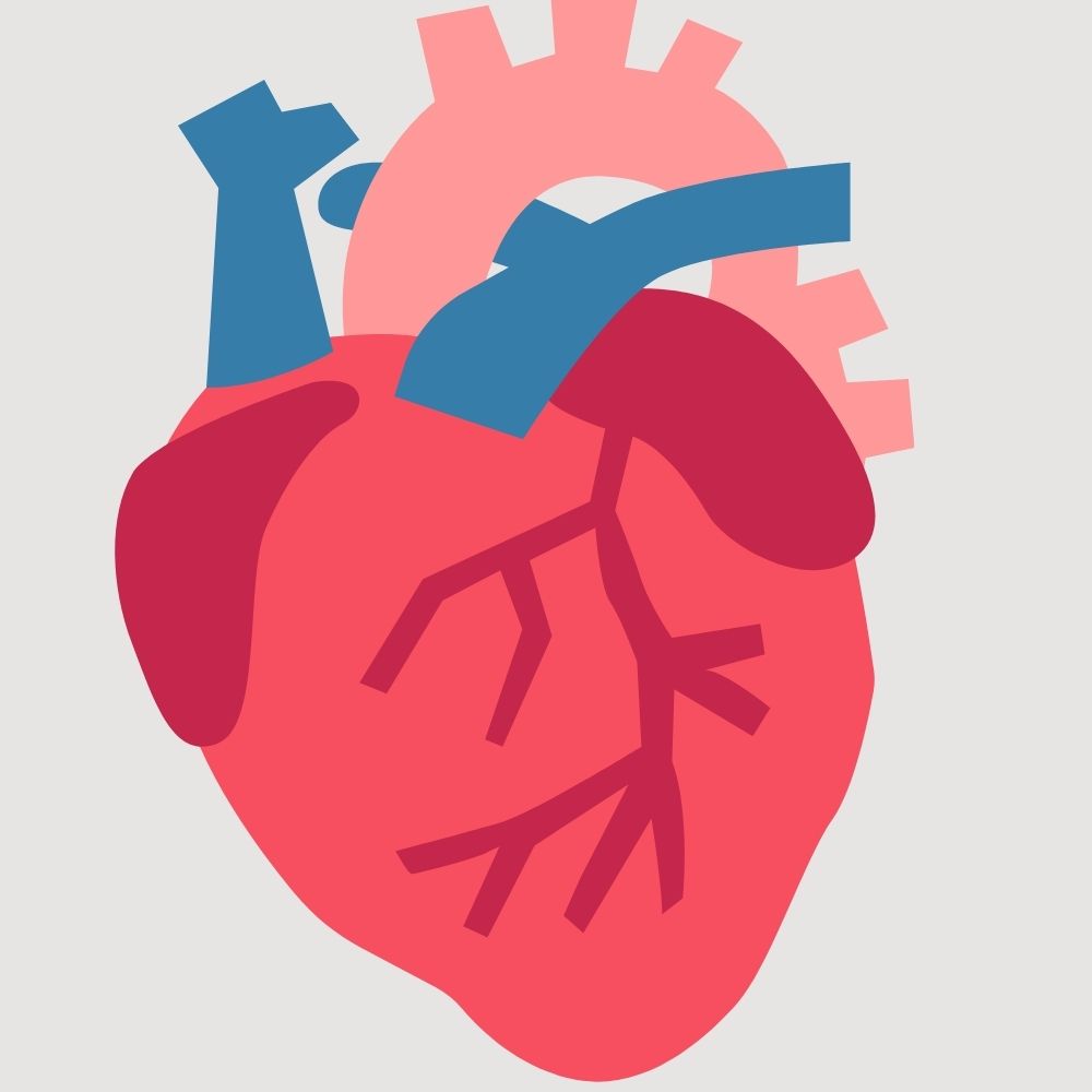 Illustration eines Herzens mit verstopften Arterien – erhöhtes Risiko für Herzkrankheiten durch Schlafmangel.